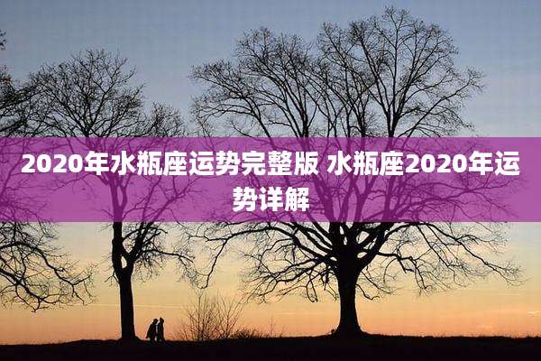 2020年水瓶座运势完整版 水瓶座2020年运势详解