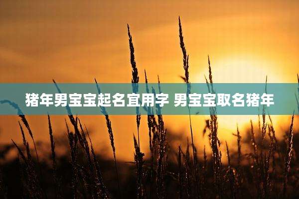 猪年男宝宝起名宜用字 男宝宝取名猪年