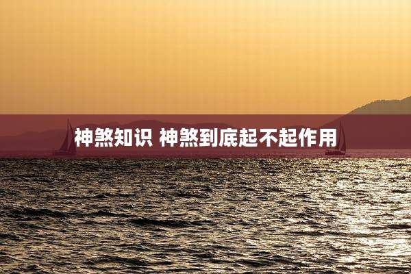 神煞知识 神煞到底起不起作用