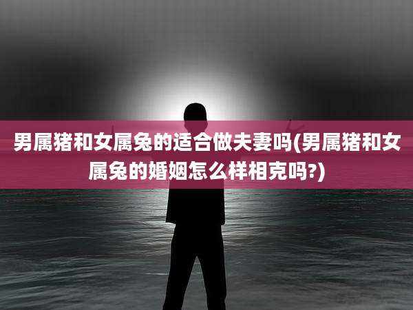 男属猪和女属兔的适合做夫妻吗(男属猪和女属兔的婚姻怎么样相克吗?)