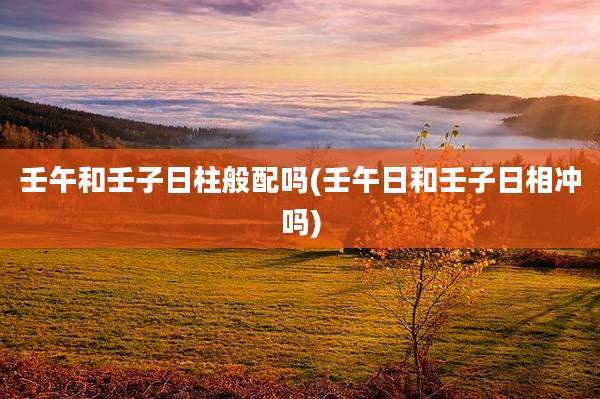 壬午和壬子日柱般配吗(壬午日和壬子日相冲吗)