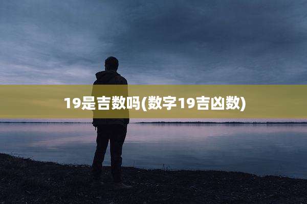 19是吉数吗(数字19吉凶数)