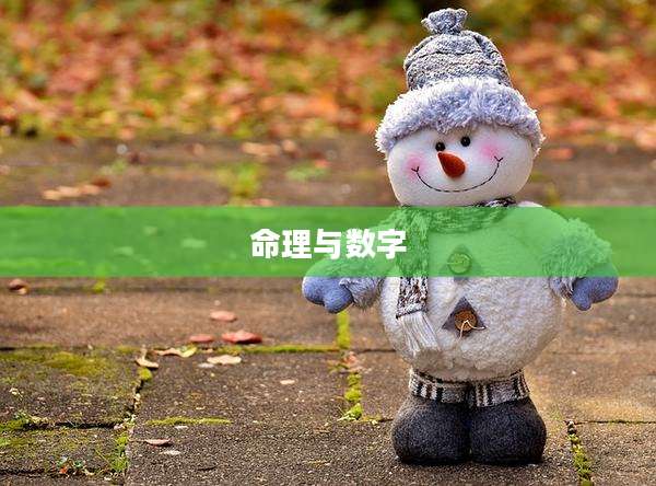 命理与数字
