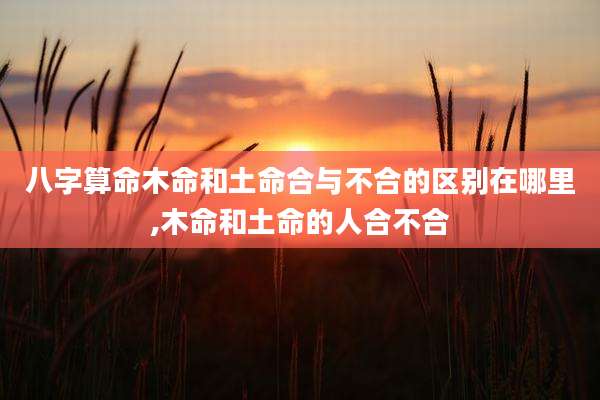 八字算命木命和土命合与不合的区别在哪里,木命和土命的人合不合