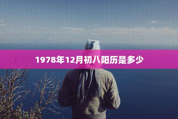 1978年12月初八阳历是多少