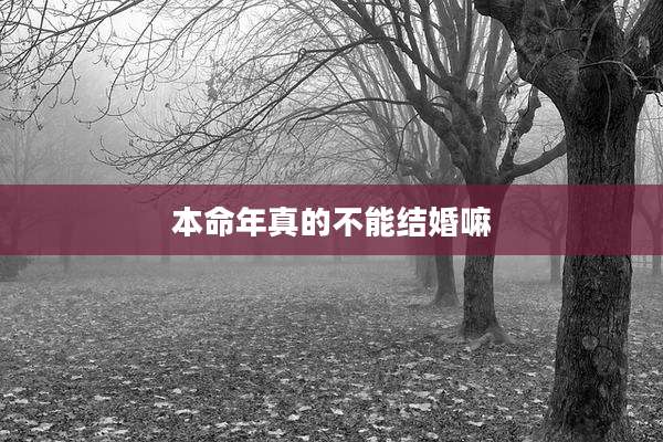 本命年真的不能结婚嘛