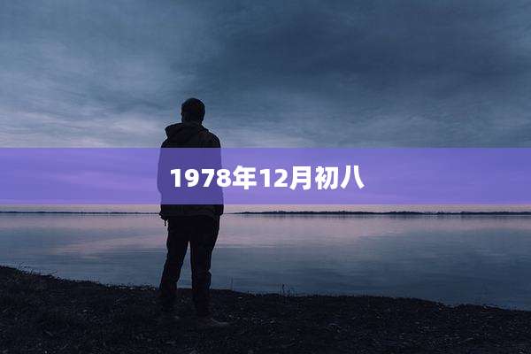 1978年12月初八
