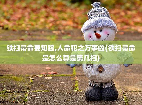 铁扫帚命要知踪,人命犯之万事凶(铁扫帚命是怎么算是第几扫)