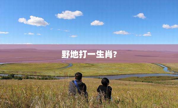 野地打一生肖?