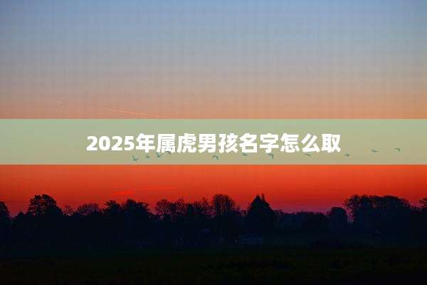 2025年属虎男孩名字怎么取