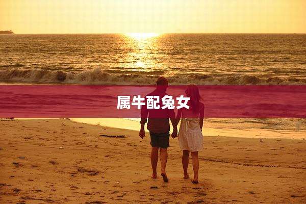 属牛配兔女