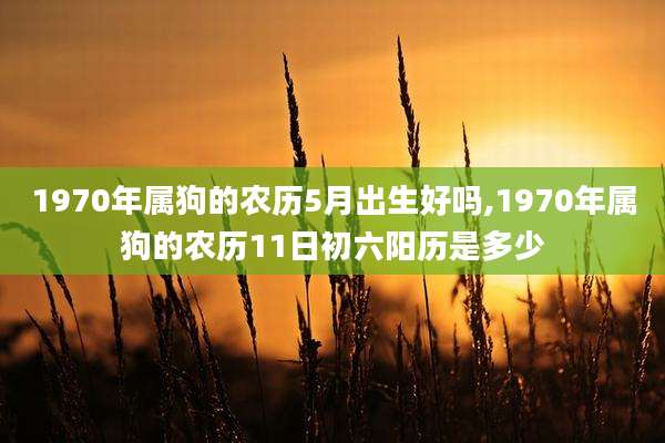 1970年属狗的农历5月出生好吗,1970年属狗的农历11日初六阳历是多少