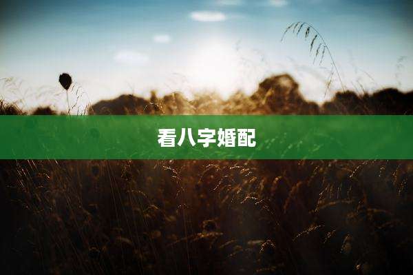 看八字婚配