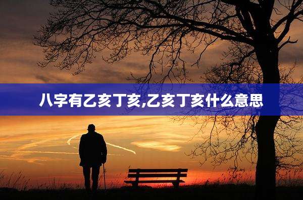 八字有乙亥丁亥,乙亥丁亥什么意思