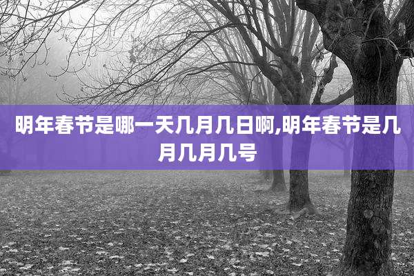 明年春节是哪一天几月几日啊,明年春节是几月几月几号