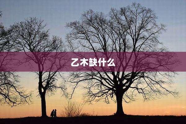 乙木缺什么
