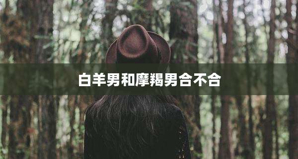 白羊男和摩羯男合不合