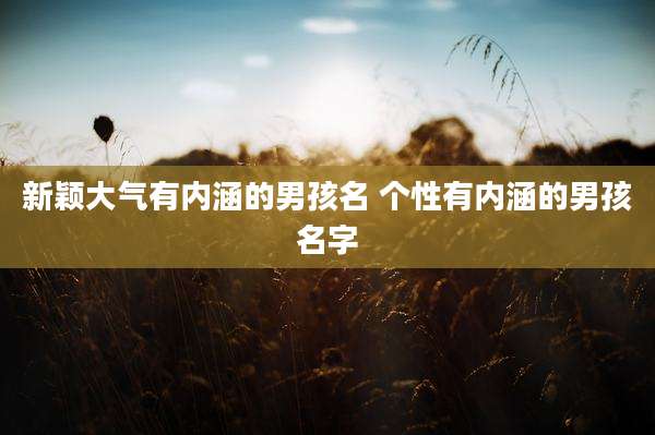 新颖大气有内涵的男孩名 个性有内涵的男孩名字