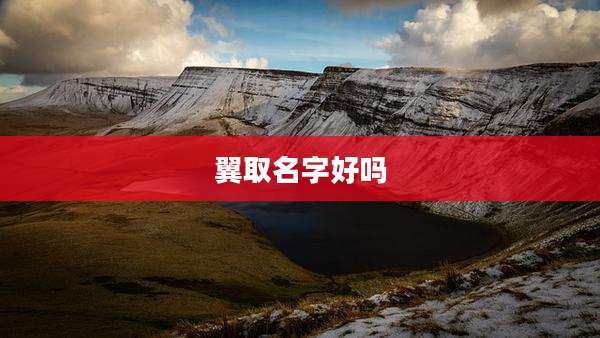 翼取名字好吗