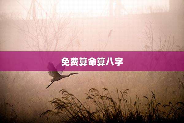 免费算命算八字