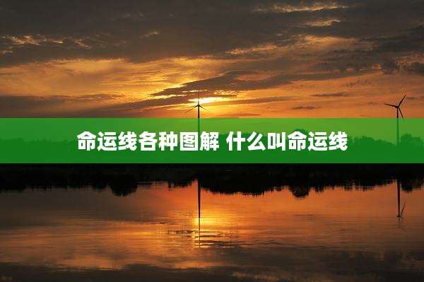 命运线各种图解 什么叫命运线