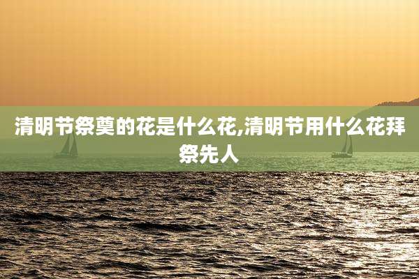 清明节祭奠的花是什么花,清明节用什么花拜祭先人