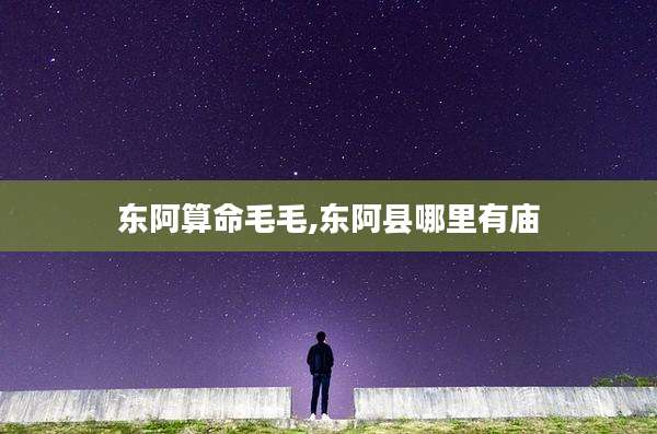 东阿算命毛毛,东阿县哪里有庙