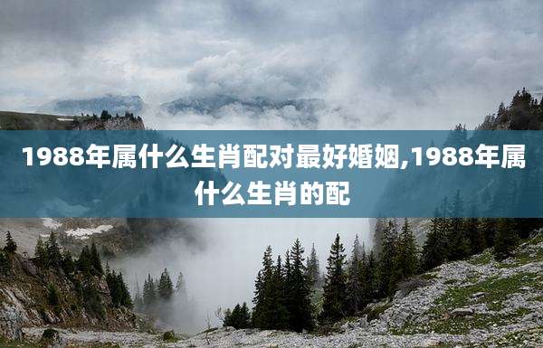 1988年属什么生肖配对最好婚姻,1988年属什么生肖的配