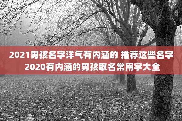 2021男孩名字洋气有内涵的 推荐这些名字 2020有内涵的男孩取名常用字大全