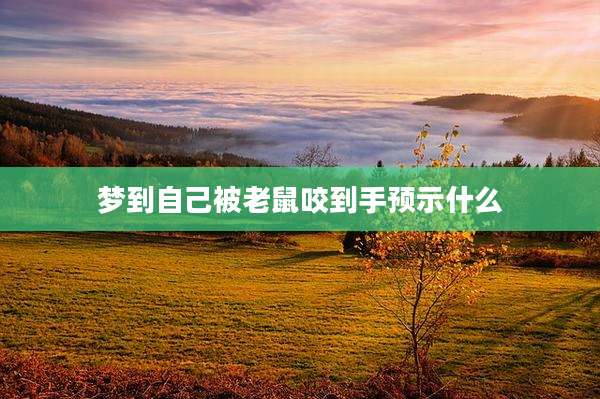梦到自己被老鼠咬到手预示什么