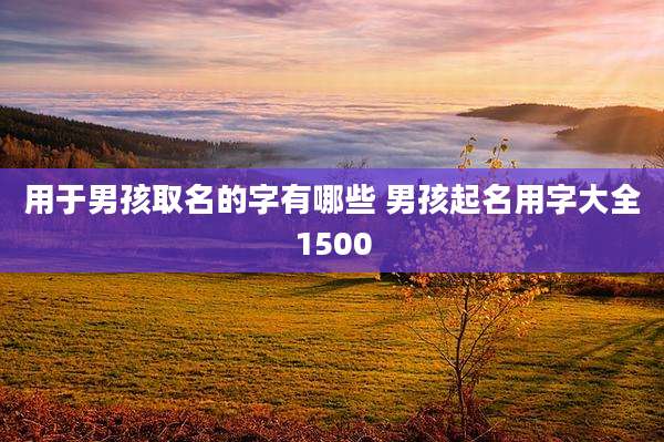 用于男孩取名的字有哪些 男孩起名用字大全1500