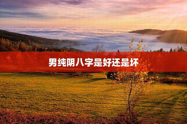 男纯阴八字是好还是坏