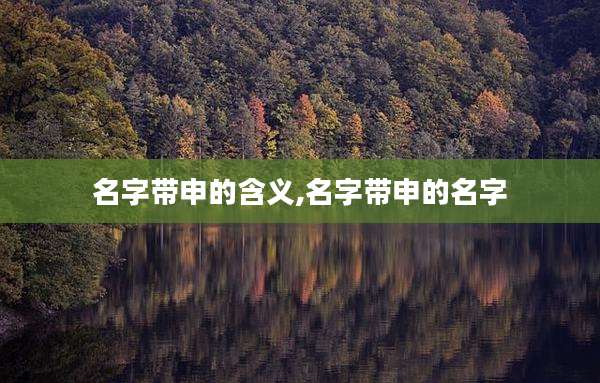 名字带申的含义,名字带申的名字