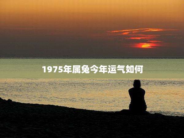 1975年属兔今年运气如何