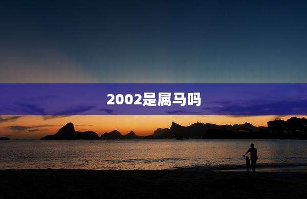 2002是属马吗