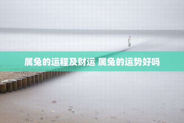 属兔的运程及财运 属兔的运势好吗