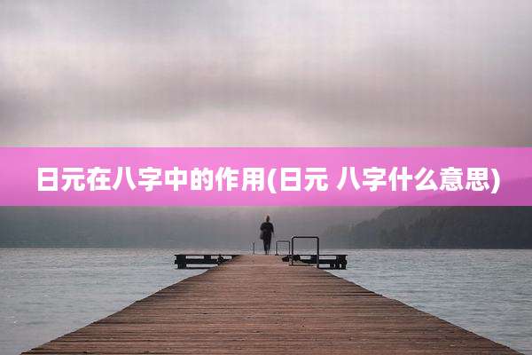 日元在八字中的作用(日元 八字什么意思)