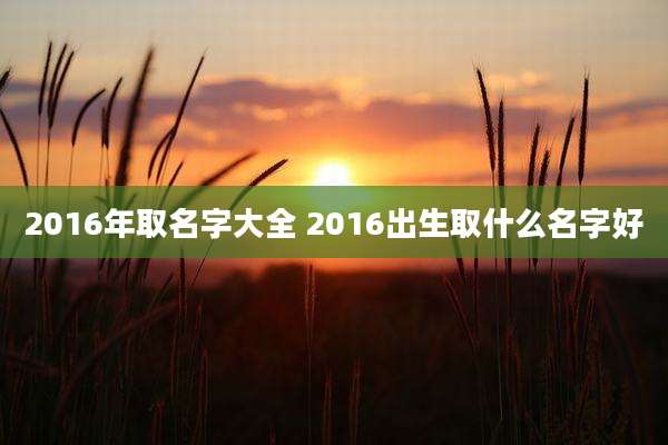 2016年取名字大全 2016出生取什么名字好