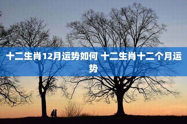 十二生肖12月运势如何 十二生肖十二个月运势