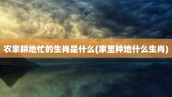 农家耕地忙的生肖是什么(家里种地什么生肖)