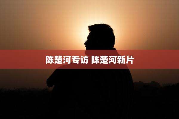 陈楚河专访 陈楚河新片