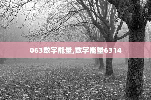 063数字能量,数字能量6314