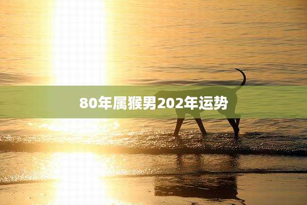 80年属猴男202年运势