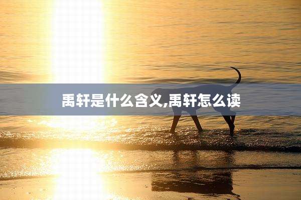 禹轩是什么含义,禹轩怎么读