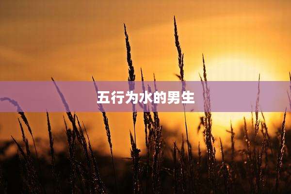 五行为水的男生