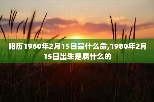 阳历1980年2月15日是什么命,1980年2月15日出生是属什么的