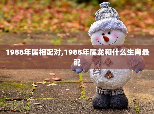 1988年属相配对,1988年属龙和什么生肖最配