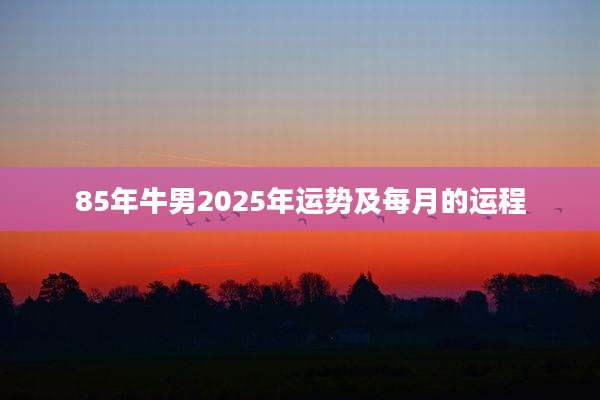 85年牛男2025年运势及每月的运程