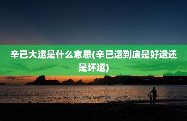 辛已大运是什么意思(辛巳运到底是好运还是坏运)