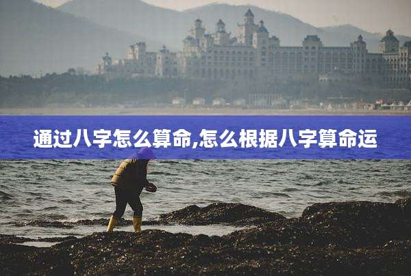 通过八字怎么算命,怎么根据八字算命运